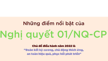 Chính phủ quyết tâm thực hiện thành công kế hoạch năm 2022