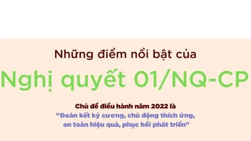 Chính phủ quyết tâm thực hiện thành công kế hoạch năm 2022