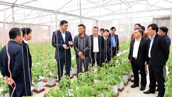 Hướng đến xây dựng nông nghiệp sinh thái, nông dân văn minh, nông thôn hiện đại