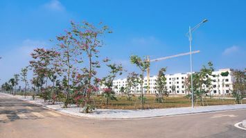 Đất nền Nghệ An “sôi động” dịp đầu năm