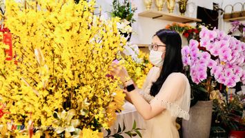 Thủ tướng đôn đốc bộ trưởng, Chủ tịch UBND tỉnh bảo đảm Tết lành mạnh, an toàn, tiết kiệm