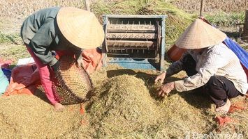 Nghệ An: Thông qua kế hoạch phân bổ gần 920 tỷ đồng thực hiện giảm nghèo