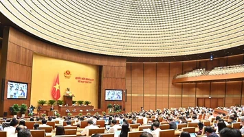 Nguy cơ thất thu ngân sách lớn nếu bỏ thanh tra trong lĩnh vực thuế, hải quan