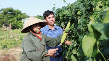 Triển khai gắn với kiểm tra, giám sát để đảm bảo tiến độ, minh bạch, hiệu quả 3 chương trình mục tiêu quốc gia