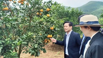 Tập trung, quyết liệt, đổi mới, sáng tạo trong chỉ đạo, đảm bảo hoàn thành chỉ tiêu xây dựng nông thôn mới theo lộ trình