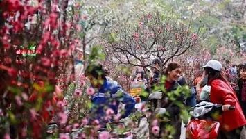 Tết Dương lịch 2023 người lao động được nghỉ nhiều nhất 3 ngày