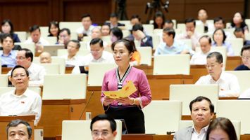Đại biểu Võ Thị Minh Sinh: Mong muốn lớn nhất của người dân vùng thiên tai là an cư