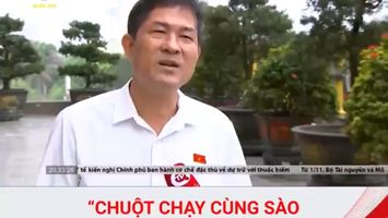 Làm thế nào để xóa quan niệm: "chuột chạy cùng sào mới vào sư phạm"