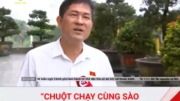 Làm thế nào để xóa quan niệm: "chuột chạy cùng sào mới vào sư phạm"