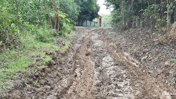 Cử tri huyện Anh Sơn đề xuất bố trí nguồn vốn dự án đường cứu hộ, cứu nạn 10 năm chưa hoàn thành
