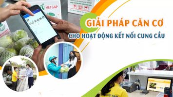 Giải pháp căn cơ cho hoạt động kết nối cung cầu