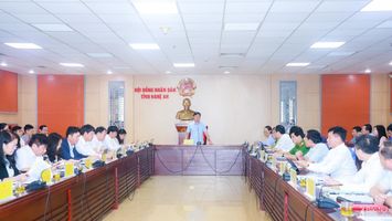 Thường trực HĐND tỉnh thẩm tra các báo cáo, dự thảo Nghị quyết do UBND tỉnh trình kỳ họp thứ 11