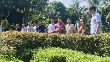 Thị xã Thái Hòa xây dựng vườn chuẩn, nâng cao các tiêu chí NTM