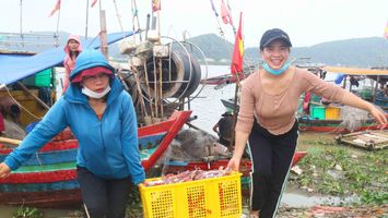 Nhộn nhịp mùa săn ghẹ ở Cửa Lò