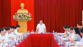Ban Thường vụ Tỉnh ủy thông qua hai quyết sách quan trọng về quản lý các dự án đầu tư và khoáng sản