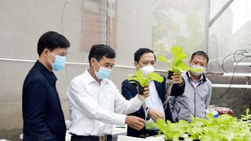 Chú trọng chuyển đổi tư duy sản xuất cho nông dân Nghệ An
