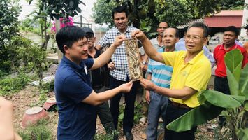 Khai thác lợi thế, phát triển nghề nuôi ong lấy mật vùng miền Tây Nghệ An