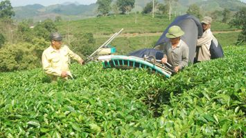 Thanh Chương: phong phú các sản phẩm OCOP.
