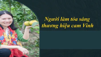 Hành trình đưa đặc sản cam Vinh ra thế giới
