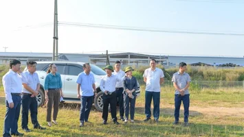 Phân tích chính sách: Bắt mạnh, kê đơn