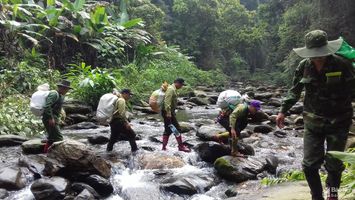 Chế độ cho người bảo vệ rừng ở Nghệ An: Tồn tại lớn, phải có giải pháp xử lý!