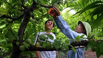 Sơn La: Đổi mới tư duy để thoát nghèo