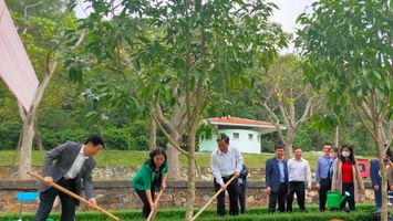 Điều ít biết về hàng cây hoa ngọc lan trên đường lên mộ bà Hoàng Thị Loan