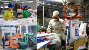 Chính phủ vừa phê duyệt chương trình 'Hỗ trợ doanh nghiệp tư nhân kinh doanh bền vững'