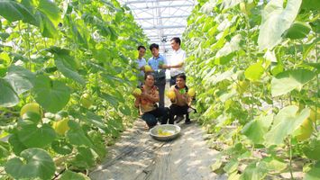 Nghị quyết dẫn đường phát triển kinh tế