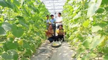 Nghị quyết dẫn đường phát triển kinh tế