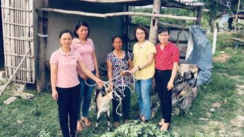 Vai trò tổ chức Đảng và đảng viên trong giảm nghèo bền vững