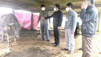 Nghệ An triển khai cấp bách biện pháp phòng chống đói, rét và dịch bệnh cho đàn vật nuôi