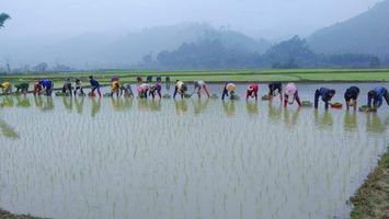 Con Cuông: Xây dựng đời sống văn hoá gắn với xây dựng nông thôn mới, phát triển kinh tế - xã hội.