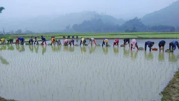 Con Cuông: Xây dựng đời sống văn hoá gắn với xây dựng nông thôn mới, phát triển kinh tế - xã hội.