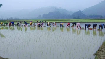 Con Cuông: Xây dựng đời sống văn hoá gắn với xây dựng nông thôn mới, phát triển kinh tế - xã hội.