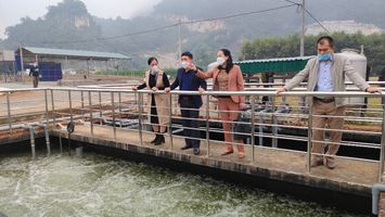 HĐND huyện Quỳ Hợp: Đổi mới, nâng cao chất lượng hiệu quả hoạt động