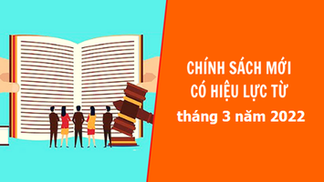 Các chính sách mới bắt đầu có hiệu lực từ tháng 03/2022