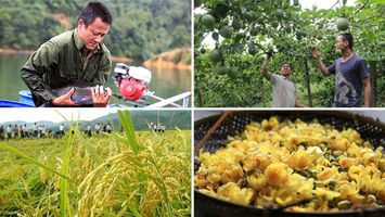 Thương hiệu cho đặc sản Quế Phong