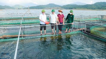 Bí thư Tỉnh ủy Thái Thanh Quý thăm cơ sở nuôi cá lồng trên lòng hồ thủy điện Hủa Na, Quế Phong