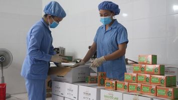 Nghệ An tiếp tục hỗ trợ gần 26 tỷ đồng cho hơn 16.000 lao động gặp khó khăn do đại dịch