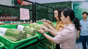 Phát triển hợp tác xã vùng đồng bào dân tộc thiểu số và miền núi