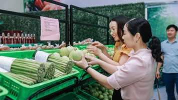 Phát triển hợp tác xã vùng đồng bào dân tộc thiểu số và miền núi