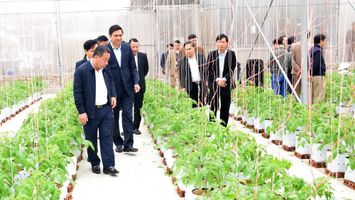 Nghệ An phấn đấu đến năm 2025 tỷ lệ hộ nghèo thấp hơn bình quân chung cả nước