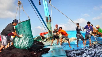 Phát triển thủy sản bền vững - Cần giảm cường lực khai thác