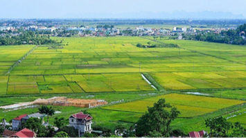 Điều kiện, thủ tục chuyển mục đích sử dụng đất lúa, đất rừng tại 4 tỉnh, thành phố