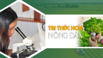 Tri thức hóa nông dân