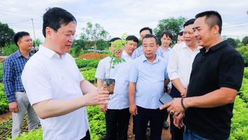 Chủ tịch UBND tỉnh Nguyễn Đức Trung thăm các mô hình kinh tế ở huyện Tân Kỳ