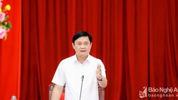 Ban Thường vụ Tỉnh ủy Nghệ An cho ý kiến về dự thảo Nghị quyết chuyển đổi số