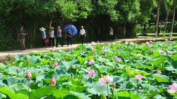 Về quê Bác – Làng Sen