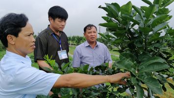 Phan Bá Ngọc - Đại biểu HĐND dám nghĩ, dám làm